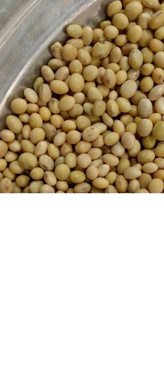 SOYA%20BEAN%7CSOYA%20BEAN%20WHOLE%7CSOYA%7CSOYA%20BEAN%20SABUT%7C_1-KG%20-%20Image%205