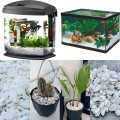 White Marble Gravel 1 KG - Large Size - Aquarium and Decorative Stones. 