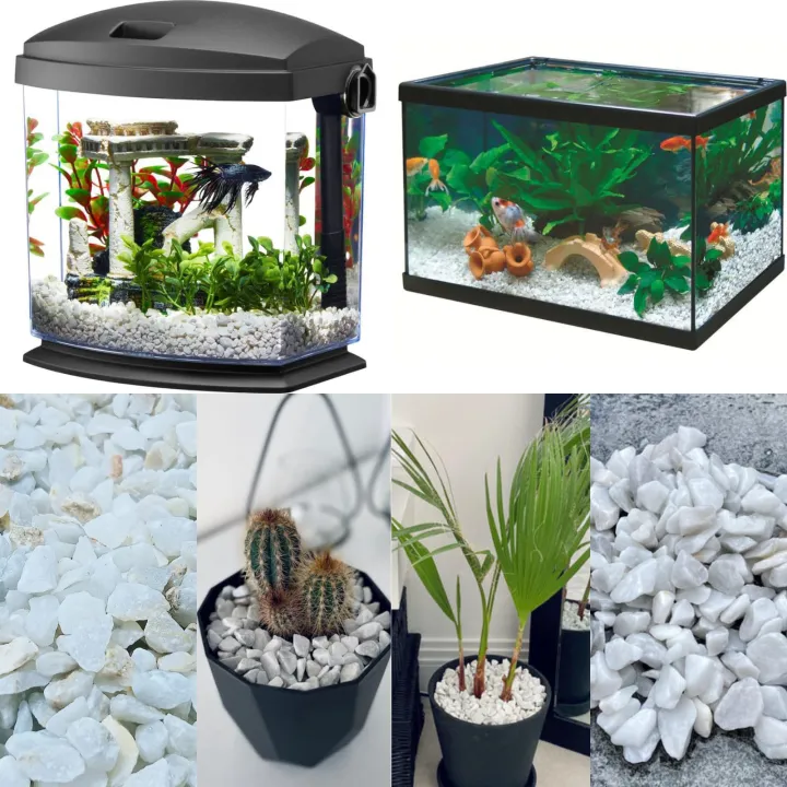 White%20Marble%20Gravel%201%20KG%20-%20Large%20Size%20-%20Aquarium%20and%20Decorative%20Stones%20-%20Image%204