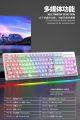 TRANSPARENT MECHANICAL KEYBOARD RGB RAIKU L1000 HIGH QUANLITY 19 MODES OF LIGHT PROFESSIONAL GAMING KEYBOARD. 
