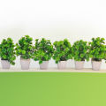 Pack of 6 Artificial Plants Mini Potted Plant Small Greenery Decor for Indoor Home Farmhouse Aesthetic Bedroom Shelf Office Desk Bathroom Decoration. 