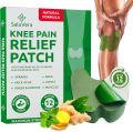 10 pcs Knee Pain Patches, Knee Patches for Pain Relief Extra Strength, Pain Patch Maximum Strength, Knee Relief Patch for Knees, Back, Joint and Arthritis, Knee Patches 10 pcs Knee Pain Patches, Knee Patches for Pain Relief Extra Strength, Pain Patch Maxi. 