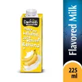 Pack of 12 Dayfresh Banana Flavored Milk 225ml. 