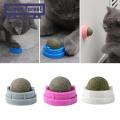 Green forest Cat Licking Toy Clear Stomach Cat Mint Ball Licking Cleaning Toys. 