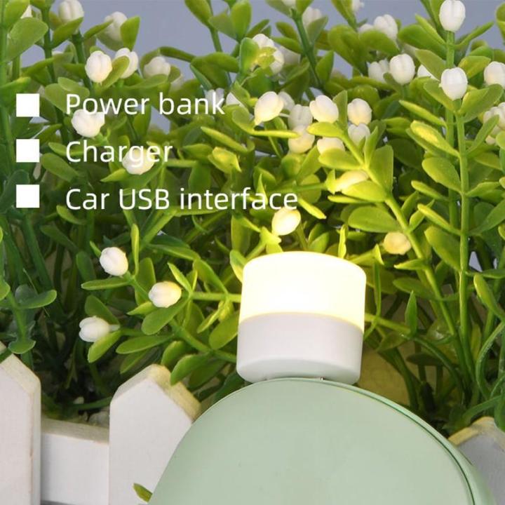 3-Pack%20Mini%20USB%20LED%20Light%20Bulbs%20%7C%20USB%20Plug-in%20Night%20%20LED%20Lamp%20%7C%20Universal%20For%20Laptops,%20Power%20Bank%20&%20Other%20Usb%20Ports%20-%20Image%209