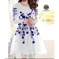 Ladies frock style Dresses. 