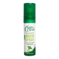 Safe & Clean Anti-Bacterial Formula Cool Mint Mouth Spray, 18ml. 