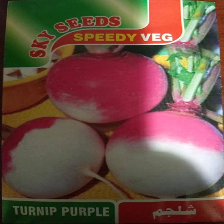 Sky Seeds-Speedy Veg-Turnip Purple-Quality not quantity-Best quality seeds.