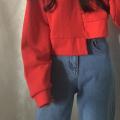 【ALLGOOD】 Korean Fashion Hong Kong Wind Chic Harajuku Style Autumn Dress Short Open Umbilical Head Thickened Long-Sleeved Wardrobe Top Female Han. 
