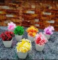 Pack of 5Mini Plant Artificial Decoration Piece with pot Best for home & Office Decoration purpose. 
