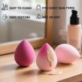 6Pcs Perfect Makeup Sponge Set Blender Flawless for Liquid, Multi-colored Beauty Makeup Sponges. 