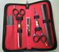 Hair Styling & Cutting Barber Kit. 