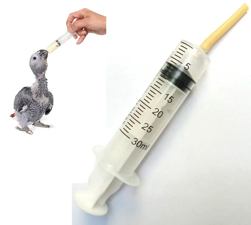 Hand feeding syringe for birds hotsell