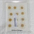 1 pack White Daisy Flowers - Dried Pressed flowers for Resin Art. 