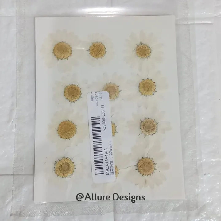 1%20pack%20White%20Daisy%20Flowers%20-%20Dried%20Pressed%20flowers%20for%20Resin%20Art%20-%20Image%202