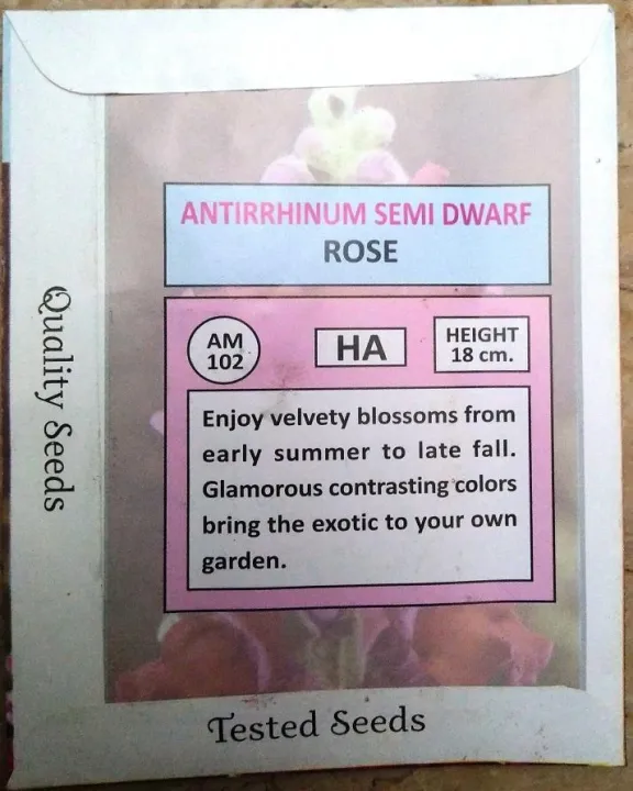 Antirrhinum%20Semi%20Dwarf%20ROSE%20winter%20flower%20-%20Image%203