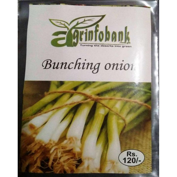 Bunching Onions