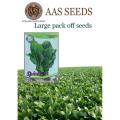 Seeds vegetable Spanich green ( پالک ) vegetable seeds. 