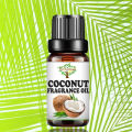 Coconut Fragrance Oil 10 ML - Candle Making Scent - Handmade Soap - Home Diffuser Aromatherapy Oil. 