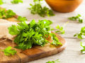 Herb – Parsley Italian Flat - Home Kitchen Gardening Seeds. 