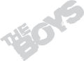 1 pcs the boys sticker for car bikes and laptop(5*3inches). 