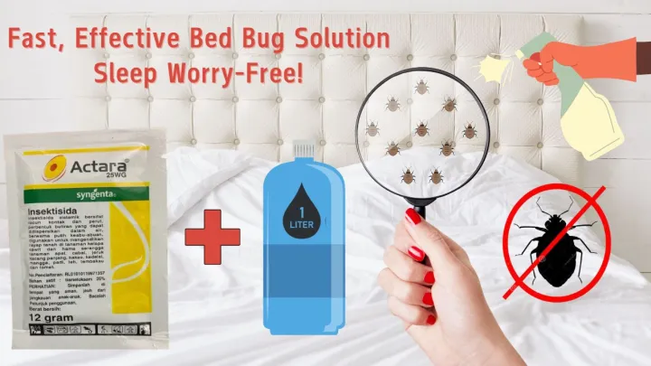 Actara%20Bedbug%20Killer%20Spray%20%7C%20Khatmal%20&%20Bed%20Bugs%20Control%20%7C%20No%20Smell,%20No%20Stain,%20%20Low-Toxic,%20Long-Lasting%20%7C%20Imported%20Indonesia%20%7C%2012gr%20+%20Free%20Hand%20Spray%20%7C%20Buy%203%20Get%201%20Free%20-%20Image%203