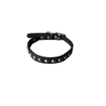 Dogs Neck Collar - Adjustable - 22 inches. 