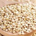 Quinoa Grains / Quinoa Seeds 500 gm (Export Quality). 