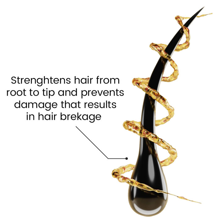 Pantene%20Anti%20Hairfall%20Shampoo%20360ml%20-%20Image%202