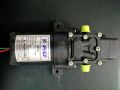 Pressure pump 12 volt. 