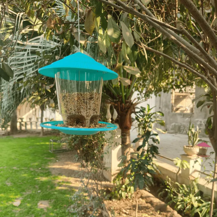 Birds%20Hanging%20Feeder,Waterproof%20Hanging%20Wild%20Bird%20Seed%20Feeder,%20Decoration%20Birds%20outdoor%20Terrace%20Home%20Garden%20Hanging%20Feeder,%20Bird%20Feeding%20Pots%20Hanging%20Bird%20Feeder%20Seed%20Cage%20Tree,%20Parrots,%20Sparrow,%20Finches,%20Budgies,%20Love%20Birds,%20Pet%20Supplies,%20Wild%20Birds%20-%20Image%2010