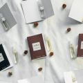 Pack Of 8 Mini Perfume Samples-Unisex Perfume Travel Size VELBONNE ELITE 3ml Perfume Samples. 