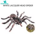 Spider Toy for Children Halloween Spider Model Ornament Simulation Plastic Figurine Kids Toy Desktop Garden Tricky Gift Spider Decoration for Home. 