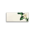 White Floral Design  -  Money Envelopes Note Size Pack Of 10 - Perfect For Eid , Ramadan and Weddings - By Paper Cuts Paper Products. 