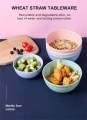 Wheat Straw Fiber Bowls Unbreakable Large Cereal Bowls Degradable kitchen Sets Eco-Friendly Salad Food Bowls. 