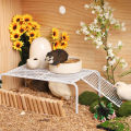 Grid Shelves Hollow Design Rutin Chicken Cage Stand Platforms with Climbing Ladder. 
