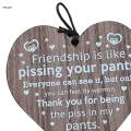 Wall Hanging Plaque Funny Friendship Gifts Accent Heart Pendant Wooden Signs Wall Art Decor for Best Friend Dorm Home Indoor Outdoor Bedroom. 
