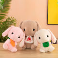 Net red large rabbit plush toy sleeping pillow clip leg rag doll girl doll cute big doll super soft. 