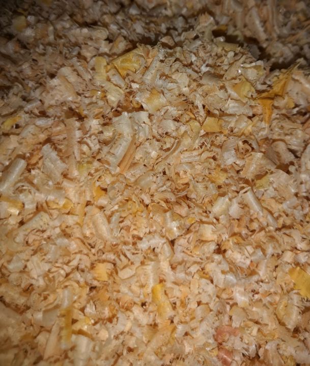 Pack of 2 Wood Shavings Nesting Birds and Pet Bedding Lakri Bora Nesting Material (100 grams each Packet )