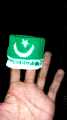 Pack of 2 - Pakistan Hand Flag Badges - White & Green Boy and Girls and children. 