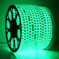 Green Flexible Rope Led Strip Light Water Proof with Adapter - Multiple Sizes LED Rope Light for Indoor and Outdoor Use Long Life Bulb Rope Light. 