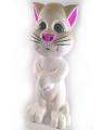 Intelligent Talking Tom Cat. 