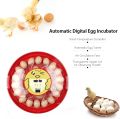 HHD 30 Eggs Incubator with Automatic Egg Turning and Humidity Control, Poultry Hatcher with Digital Display for Chicken, Duck, Goose, Quail Eggs. 