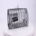 Mouse / Rat Trap PAKARNY WLA PINJARA. 