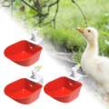 3Pcs Chicken Drinkers Cups Removable Feeder Drinking Bowls for Chicks Poultry Quail Pigeon. 