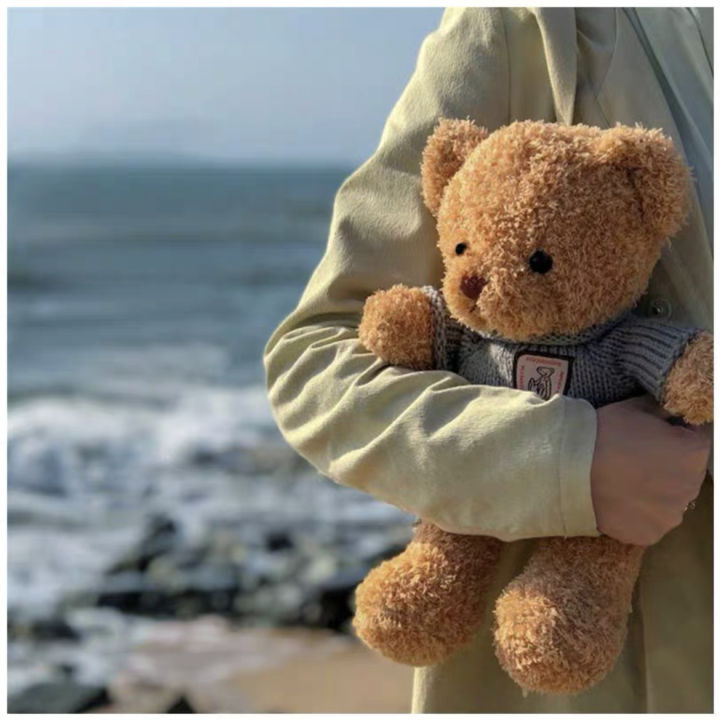 Bear doll sweater bear plush toy dressing teddy bear ragdoll doll hugging bear girl birthday gift