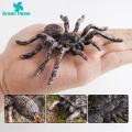 Spider Toy for Children Halloween Spider Model Ornament Simulation Plastic Figurine Kids Toy Desktop Garden Tricky Gift Spider Decoration for Home. 