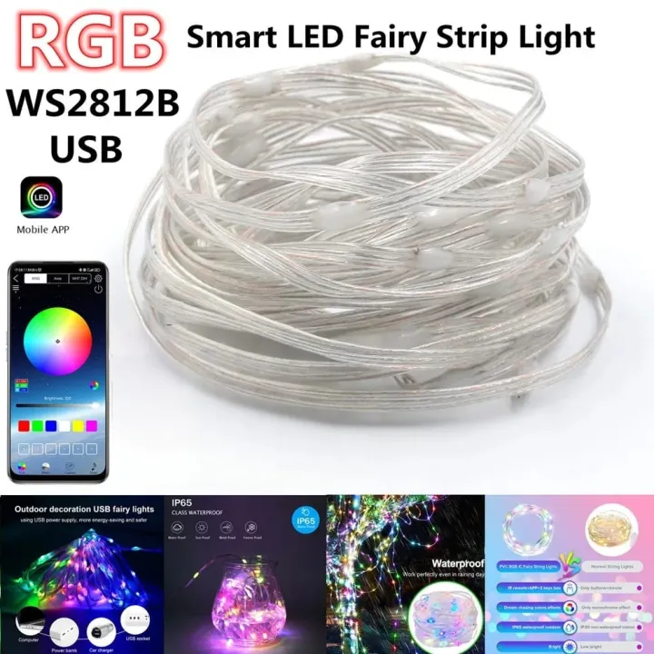 5V DC 10 Meter RGB Smart LED Fairy String Lights USB Remote & Mic ...