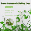 Plant Organize Clip High Stability Garden Support Binding Vine Wall Hook. 