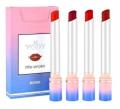 Pack of 4 Ydby matt lipstick 4 pc packet. 
